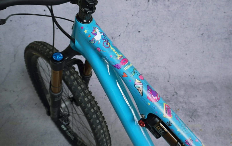 Dyedbro Kit Voor Bescherming Van Het Frame - Eenhoorn 4 Dyedbro Kit Voor Bescherming Van Het Frame - Eenhoorn - Afbeelding 2