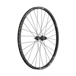 Dt-swiss E 1900 Spline DB 29 Inch Achterwiel, 30mm Lichtmetaal, Centrelock, Shimano, 148/12mm Boost TA